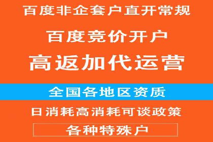 SEM外包助力品牌增长案例解析